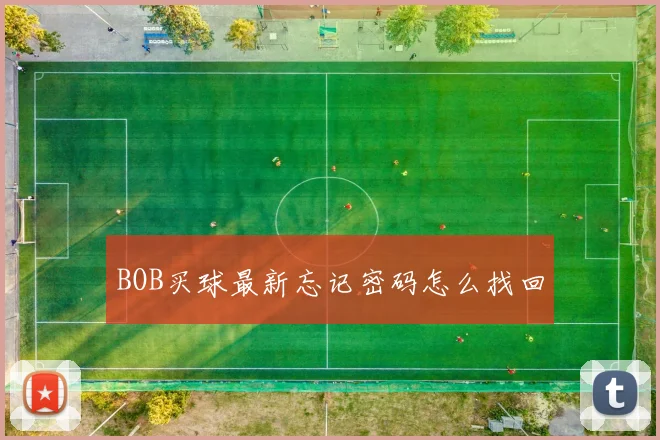 BOB买球最新忘记密码怎么找回
