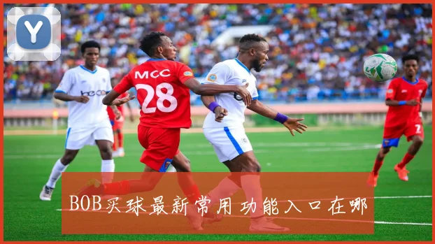 BOB买球最新常用功能入口在哪