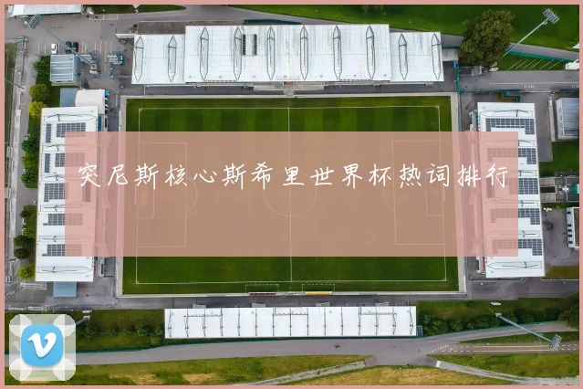 突尼斯核心斯希里世界杯热词排行