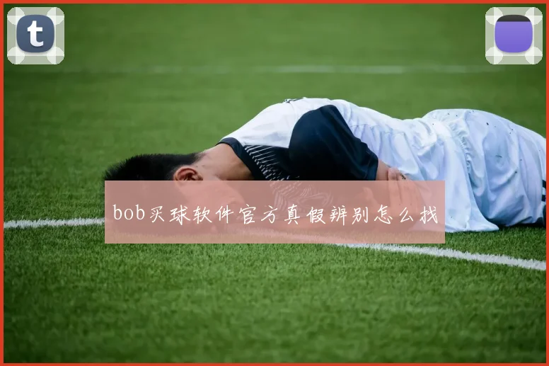bob买球软件官方真假辨别怎么找
