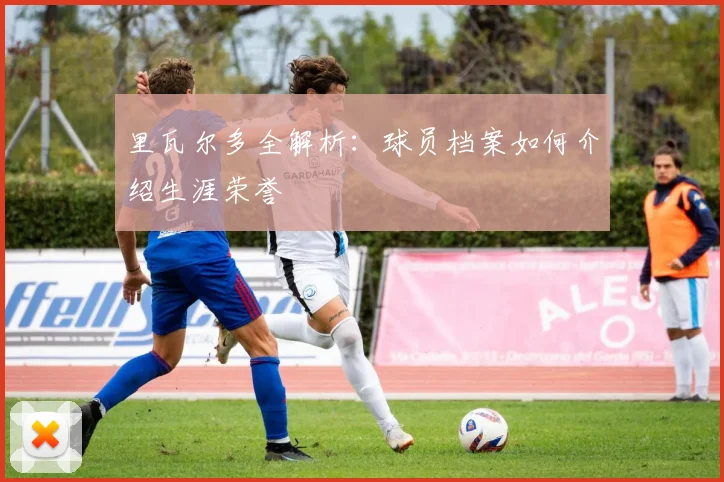 里瓦尔多全解析：球员档案如何介绍生涯荣誉