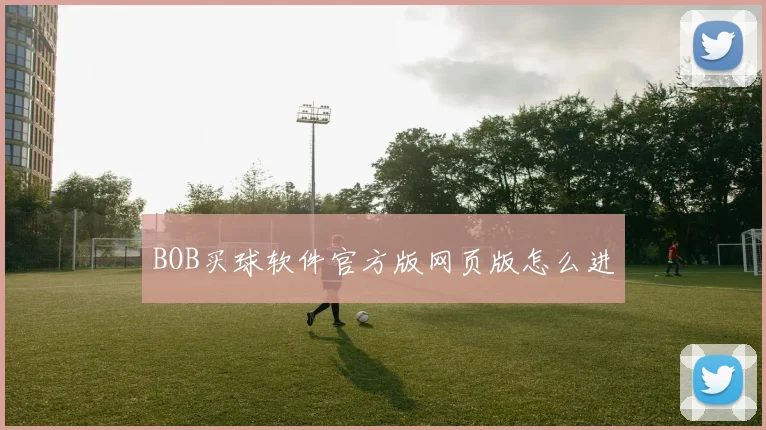 BOB买球软件官方版网页版怎么进