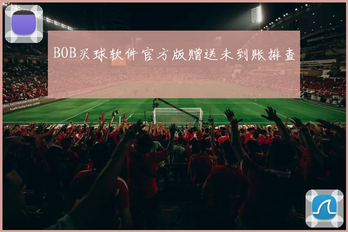 BOB买球软件官方版赠送未到账排查