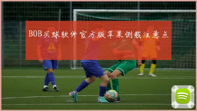 BOB买球软件官方版苹果侧载注意点
