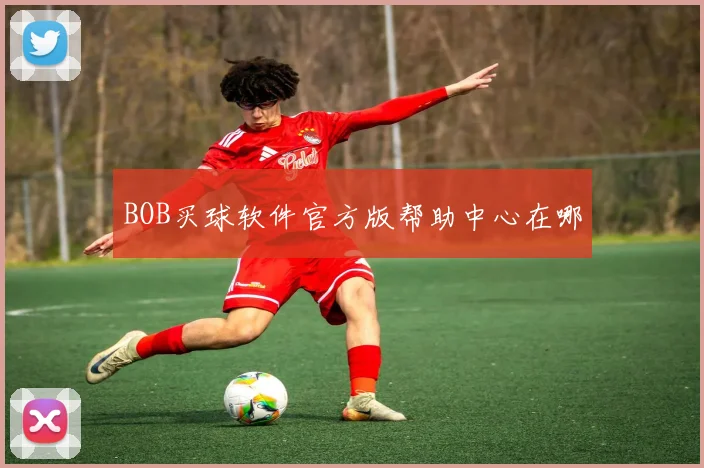 BOB买球软件官方版帮助中心在哪